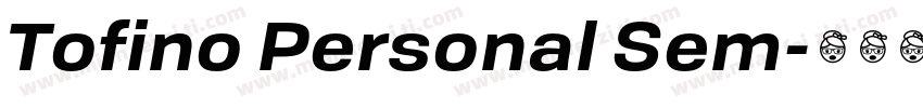 Tofino Personal Sem字体转换
